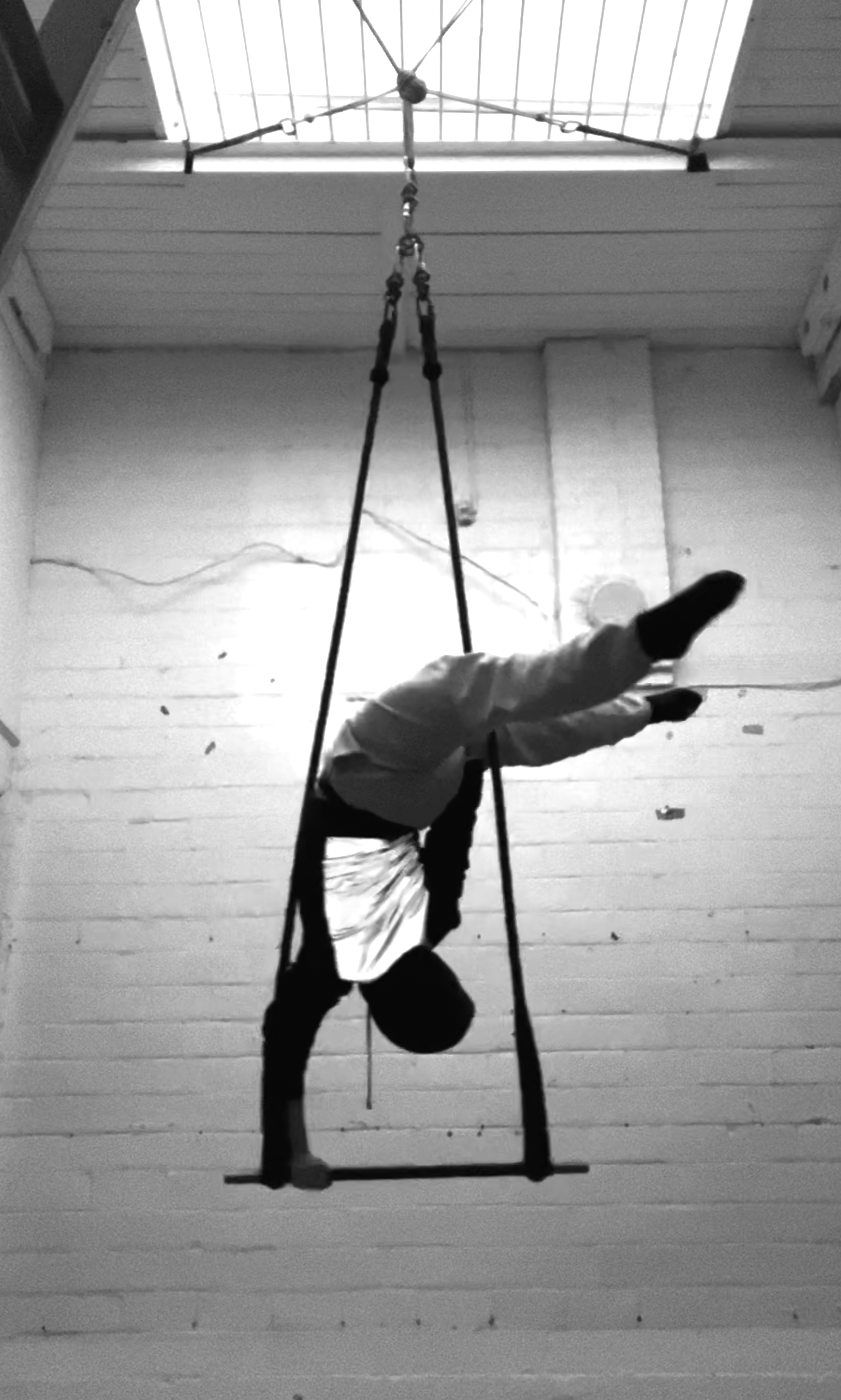 one-arm scorpion handstand on trapeze