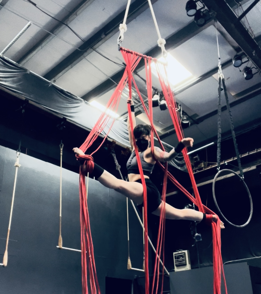 multicordes: apparatus development